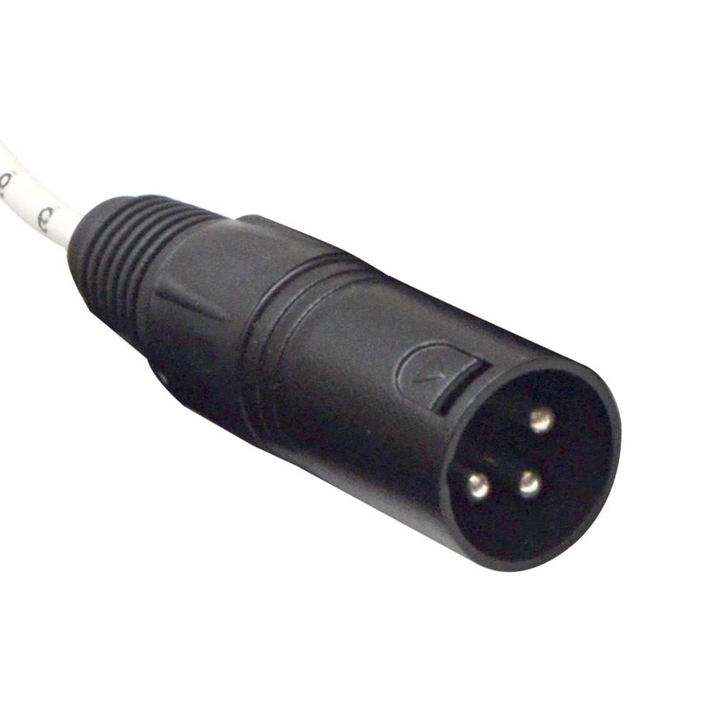 DB25 to XLR Male | DB25 to XLR Cable | 8 Channel Snake Cable