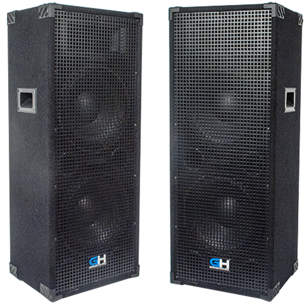 Pair of Affordable Dual 12 Inch PA DJ Cabinet Mains for Musicians