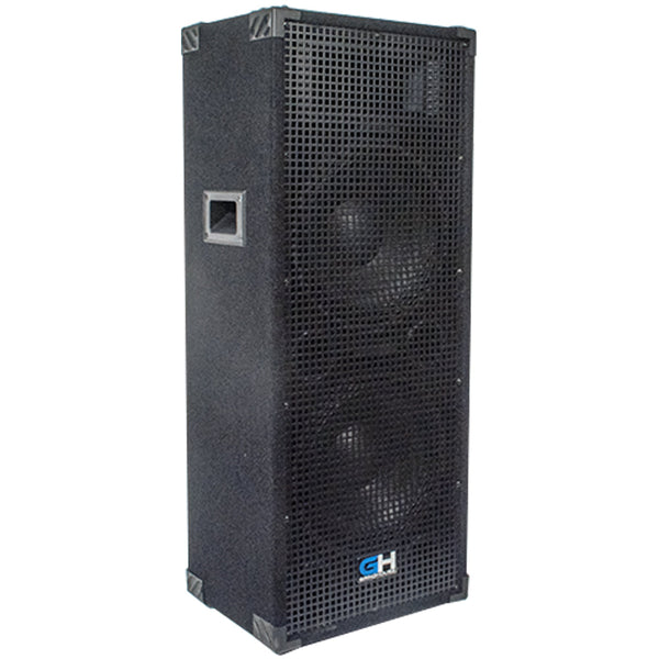Affordable Dual 12 Inch PA DJ Cabinet Mains for Musicians on a